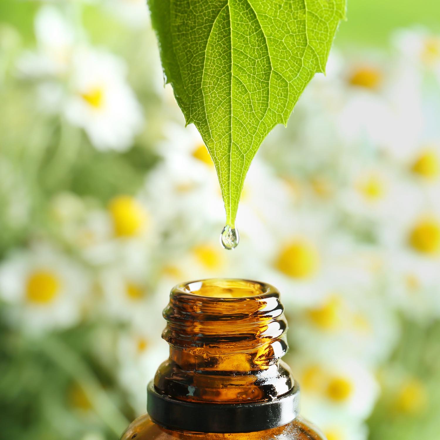 Aromathérapie, Pharmacie des Vallées, Argentonnay